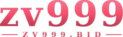 zv999 logo